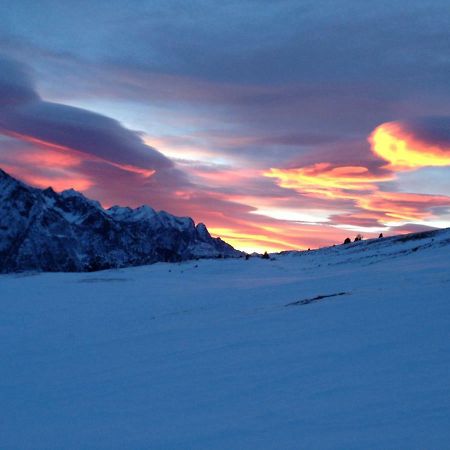 Monolocale A Passo Tonale Daire Passo del Tonale Dış mekan fotoğraf